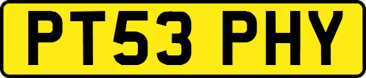 PT53PHY