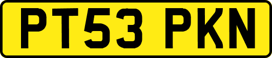 PT53PKN