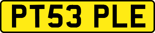 PT53PLE