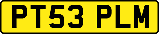PT53PLM