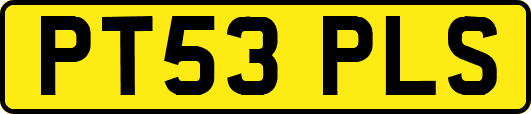 PT53PLS