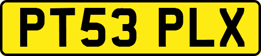 PT53PLX