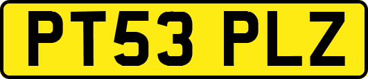 PT53PLZ