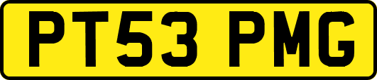 PT53PMG