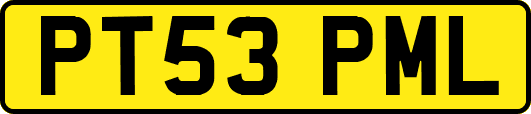 PT53PML
