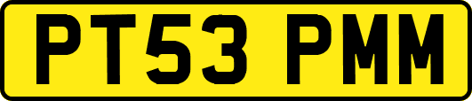 PT53PMM