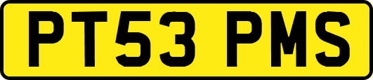 PT53PMS