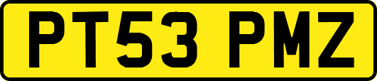 PT53PMZ