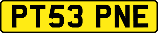 PT53PNE
