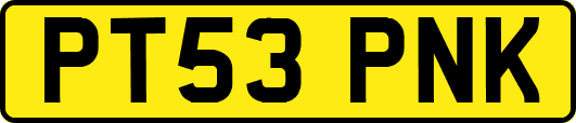 PT53PNK