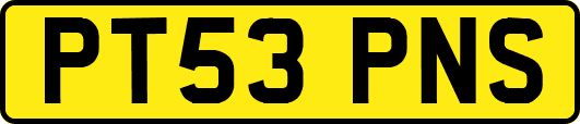 PT53PNS