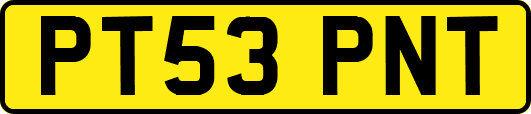 PT53PNT