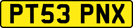 PT53PNX