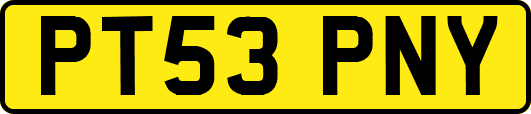 PT53PNY