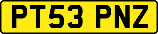 PT53PNZ
