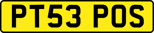 PT53POS