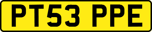 PT53PPE