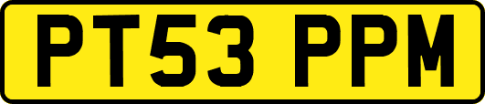 PT53PPM