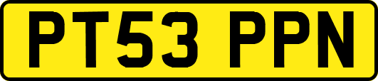 PT53PPN