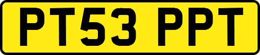 PT53PPT