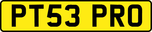 PT53PRO