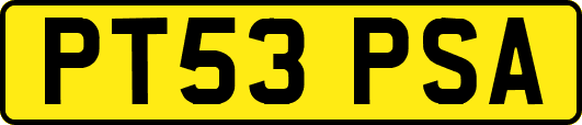 PT53PSA