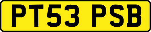 PT53PSB