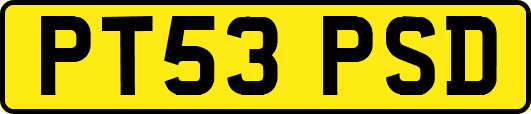 PT53PSD