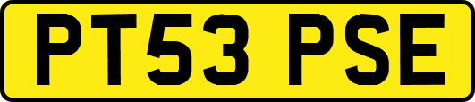 PT53PSE