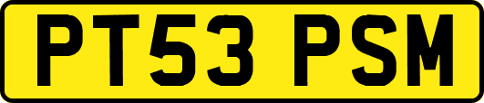PT53PSM