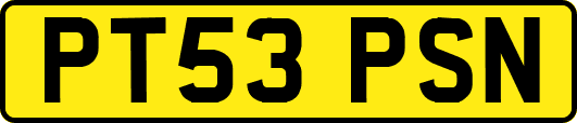 PT53PSN