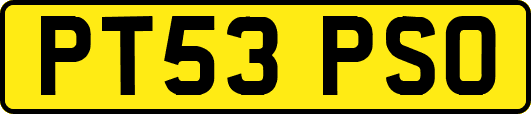 PT53PSO