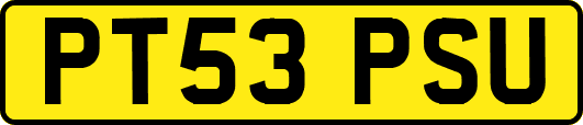PT53PSU