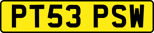 PT53PSW