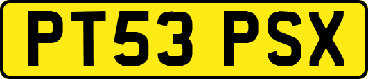 PT53PSX