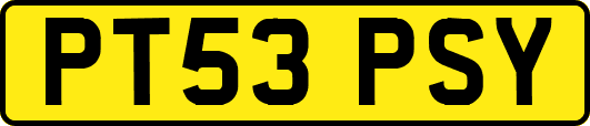 PT53PSY