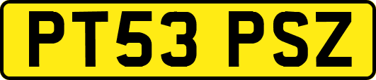 PT53PSZ