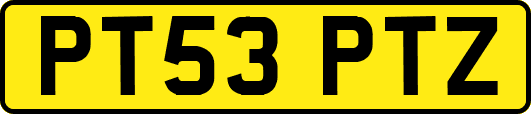 PT53PTZ