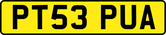 PT53PUA
