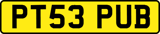 PT53PUB