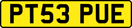 PT53PUE