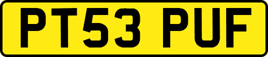 PT53PUF