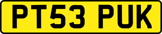 PT53PUK