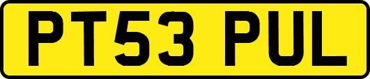 PT53PUL