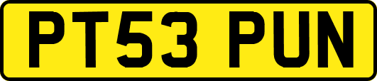 PT53PUN