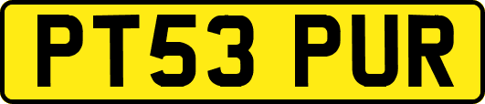 PT53PUR