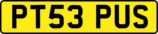 PT53PUS