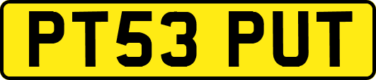 PT53PUT