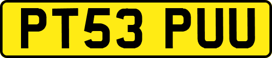 PT53PUU