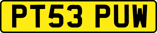 PT53PUW